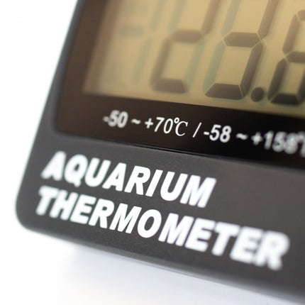 Aquarium thermometer with water and room temperature sensors