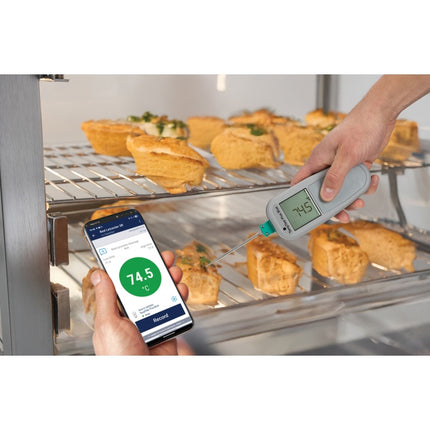 TempTest Blue PLUS Thermometer