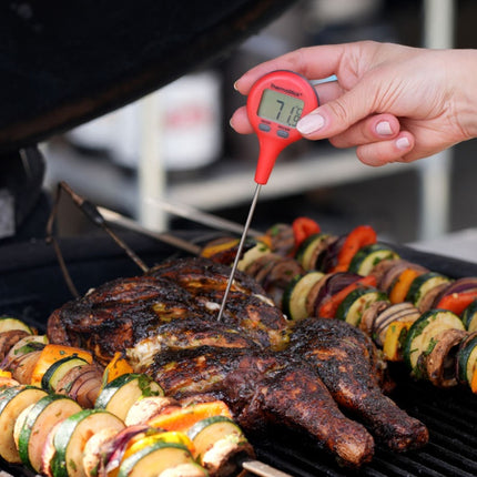 ThermaStick® Pocket Thermometer Rood