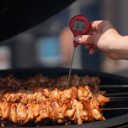 ThermaStick® Pocket Thermometer Rood